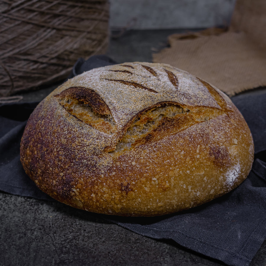 Khapli / Emmer sourdough pan india